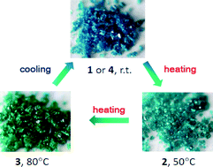 Graphical abstract: Reversible visual thermochromic coordination polymers via single-crystal-to-single-crystal transformation