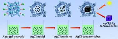 Graphical abstract: Biomaterial-assisted synthesis of AgCl@Ag concave cubes with efficient visible-light-driven photocatalytic activity