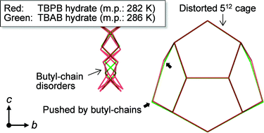 Graphical abstract: Characterization of tetra-n-butylphosphonium bromide semiclathrate hydrate by crystal structure analysis