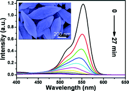 Graphical abstract: One-pot synthesis of ZnO decorated with AgBr nanoparticles and its enhanced photocatalytic properties