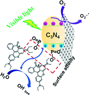 Graphical abstract: Enhanced reactive oxygen species on a phosphate modified C3N4/graphene photocatalyst for pollutant degradation