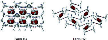 Graphical abstract: Polymorphism and isomorphism of Huperzine A solvates: structure, properties and form transformation