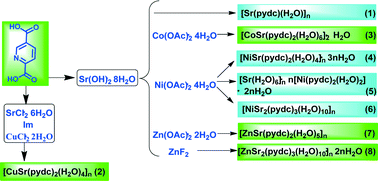 Graphical abstract: Synthesis, structures and properties of the first series of SrII–MII (M = Cu, Co, Ni and Zn) coordination polymers based on pyridine-2,5-dicarboxylic acid