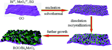 Graphical abstract: In situ growth of Bi2MoO6 on reduced graphene oxide nanosheets for improved visible-light photocatalytic activity