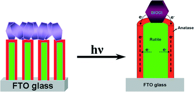 Graphical abstract: Fabrication of TiO2–BiOCl double-layer nanostructure arrays for photoelectrochemical water splitting