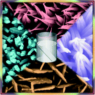 Graphical abstract: Ambient condition oxidation of zinc foil in supersaturated solution for shape tailored ZnO nanostructures: low cost candidates for efficient electron emitter and UV-detector