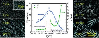 Graphical abstract: Disclosing the formation of ring-banded spherulites for semicrystalline polymers through the double-layer film method