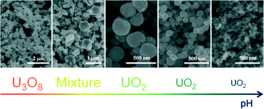 Graphical abstract: A facile additive-free method for tunable fabrication of UO2 and U3O8 nanoparticles in aqueous solution