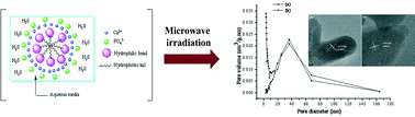 Graphical abstract: Microwave-assisted synthesis of mesoporous nano-hydroxyapatite using surfactant templates