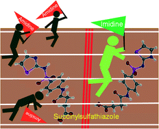 Graphical abstract: Tautomeric preference in polymorphs and pseudopolymorphs of succinylsulfathiazole: fast evaporation screening and thermal studies