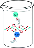 Graphical abstract: Unprecedented metal-ion metathesis in a metal–carboxylate chain-based metal–organic framework