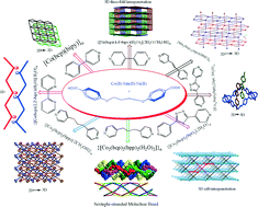 Graphical abstract: Different interpenetrated coordination polymers based on flexible dicarboxylate ligands: topological diversity and magnetism