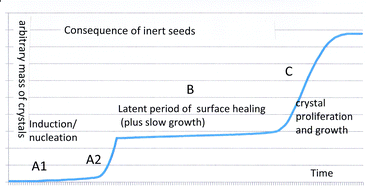 Graphical abstract: A perspective on a century of inert seeds in crystallisation