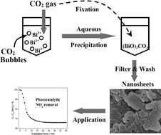 Graphical abstract: The rapid synthesis of photocatalytic (BiO)2CO3 single-crystal nanosheets via an eco-friendly approach
