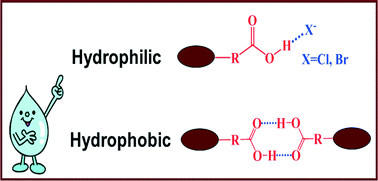 Hydrogen bonds in the crystal structure of hydrophobic and hydrophilic