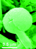 Graphical abstract: Colloidal synthesis and formation mechanism of calcium molybdate notched microspheres