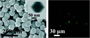 Graphical abstract: Carbon nanodots@zeolitic imidazolate framework-8 nanoparticles for simultaneous pH-responsive drug delivery and fluorescence imaging