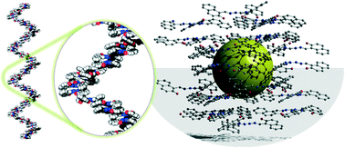 Graphical abstract: Capsule voided nanospace confinement in a π-stacked supramolecular organic solid