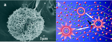 Graphical abstract: Hollow hydroxyapatite spheres fabrication with three-dimensional hydrogel template