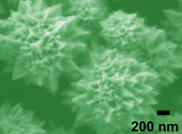 Graphical abstract: Ionic liquid-assisted synthesis of unusual Pd particles with enhanced electrocatalytic performance for ethanol and methanol oxidation