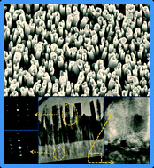 Graphical abstract: Role of AlN intermediate layer in the morphological evolution of GaN nanorods grown on c-plane sapphire