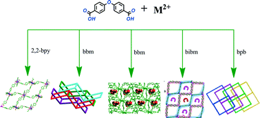 Graphical abstract: Ligand geometry-directed assembly of seven entangled coordination polymers