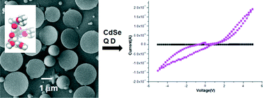 Graphical abstract: Photoelectrochemical properties of CdSe quantum dots doped disk-like tripeptide capsule