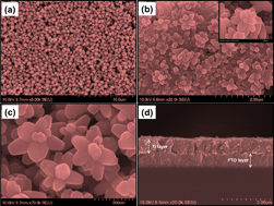 Graphical abstract: Ti thin film towards the growth of crystalline-TiO2 nanostructures: stepped light-induced transient measurements of photocurrent and photovoltage in dye sensitized solar cell