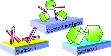 Graphical abstract: Template-induced polymorphic selectivity: the effects of surface chemistry and solute concentration on carbamazepine crystallisation