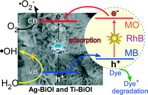 Graphical abstract: Adsorption and UV/Visible photocatalytic performance of BiOI for methyl orange, Rhodamine B and methylene blue: Ag and Ti-loading effects