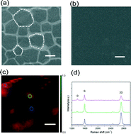 Graphical abstract: Graphene–silver nanowire hybrid films as electrodes for transparent and flexible loudspeakers