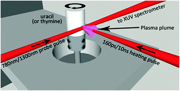 Graphical abstract: Comparison of high-order harmonic generation in uracil and thymine ablation plumes