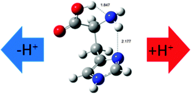 Graphical abstract: Gas-phase structures and thermochemistry of neutral histidine and its conjugated acid and base