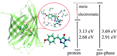 Graphical abstract: Electrostatic spectral tuning mechanism of the green fluorescent protein