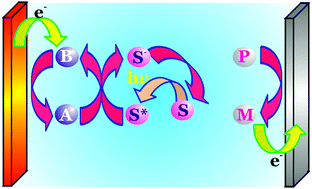 Graphical abstract: A model for efficient, semiconductor-free solar cells via supersensitized electron transfer cascades in photogalvanic devices