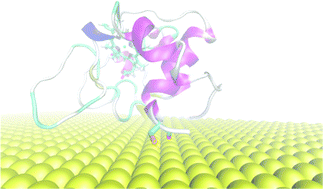 Graphical abstract: Cytochrome C on a gold surface: investigating structural relaxations and their role in protein–surface electron transfer by molecular dynamics simulations