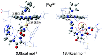 Graphical abstract: A model theoretical study on ligand exchange reactions of CooA