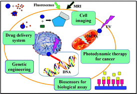 Graphical abstract: Recent progress in biomedical applications of titanium dioxide