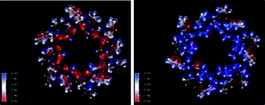 Graphical abstract: The effects of water molecules on the electronic and structural properties of peptide nanotubes