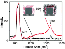 Graphical abstract: Improving correlated SERS measurements with scanning electron microscopy: an assessment of the problem arising from the deposition of amorphous carbon