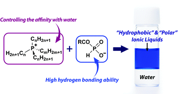 Graphical abstract: Hydrophobic and polar ionic liquids