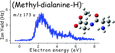 Graphical abstract: Electron attachment to the dipeptide dialanine: influence of methylation on site selective dissociation reactions