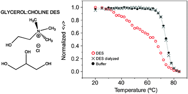 Graphical abstract: Thermal unfolding and refolding of lysozyme in deep eutectic solvents and their aqueous dilutions