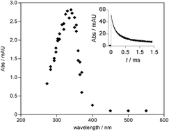 Graphical abstract: Reactions of the tetraoxidosulfate(˙−) and hydroxyl radicals with poly(sodium α-methylstyrene sulfonate)