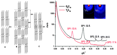 Graphical abstract: Properties and self-assembled packing morphology of long alkyl-chained substituted polyhedral oligomeric silsesquioxanes (POSS) cages