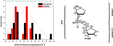 Graphical abstract: Benchmark quantum-chemical calculations on a complete set of rotameric families of the DNA sugar–phosphate backbone and their comparison with modern density functional theory