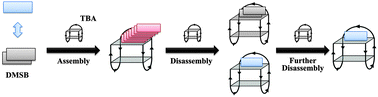 Graphical abstract: Novel dual-functional regulation of a chair-like antiparallel G-quadruplex inducing assembly–disassembly of a cyanine dye