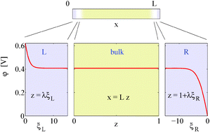 Graphical abstract: Overcoming the shortcomings of the Nernst–Planck model