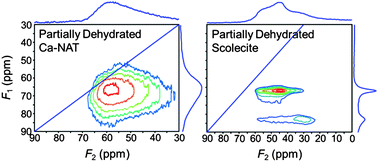 Graphical abstract: Solid-state NMR study of various mono- and divalent cation forms of the natural zeolite natrolite