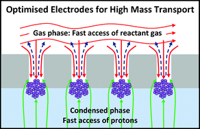 Graphical abstract: Electrocatalytic performance of fuel cell reactions at low catalyst loading and high mass transport